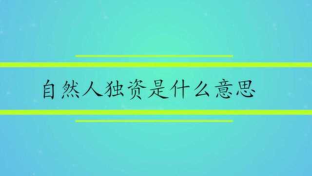 自然人独资是什么意思