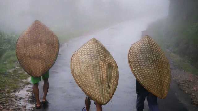 世界上最潮湿的地方,一年有335天都在下雨,被称为“雨之国”