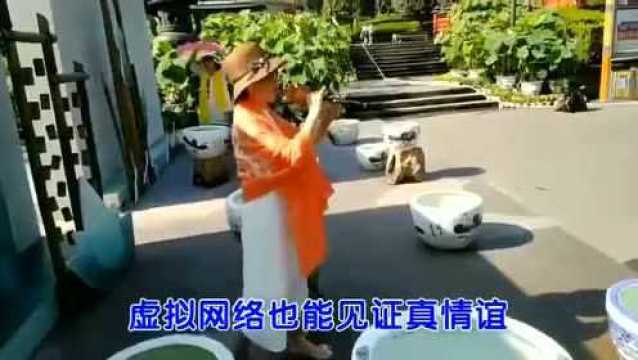 一首经典歌曲《姐妹情缘》真好听,深情动人