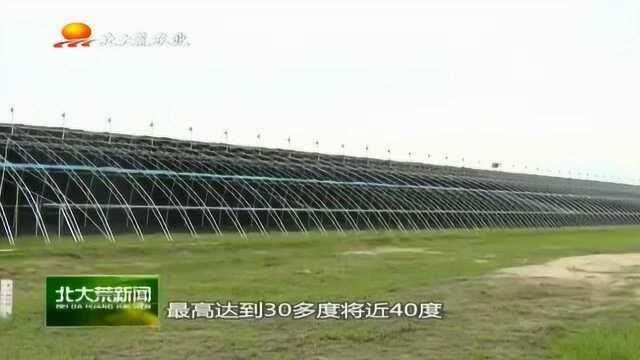 打造高标准农田项目,北大荒集团建设现代化农业产业园