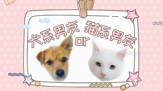 七夕又是一个人过?犬系男友&猫系男友来陪你,你更爱哪一个?