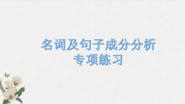 初中英语,名词及句子成分分析专项练习,句子看懂就靠成分分析