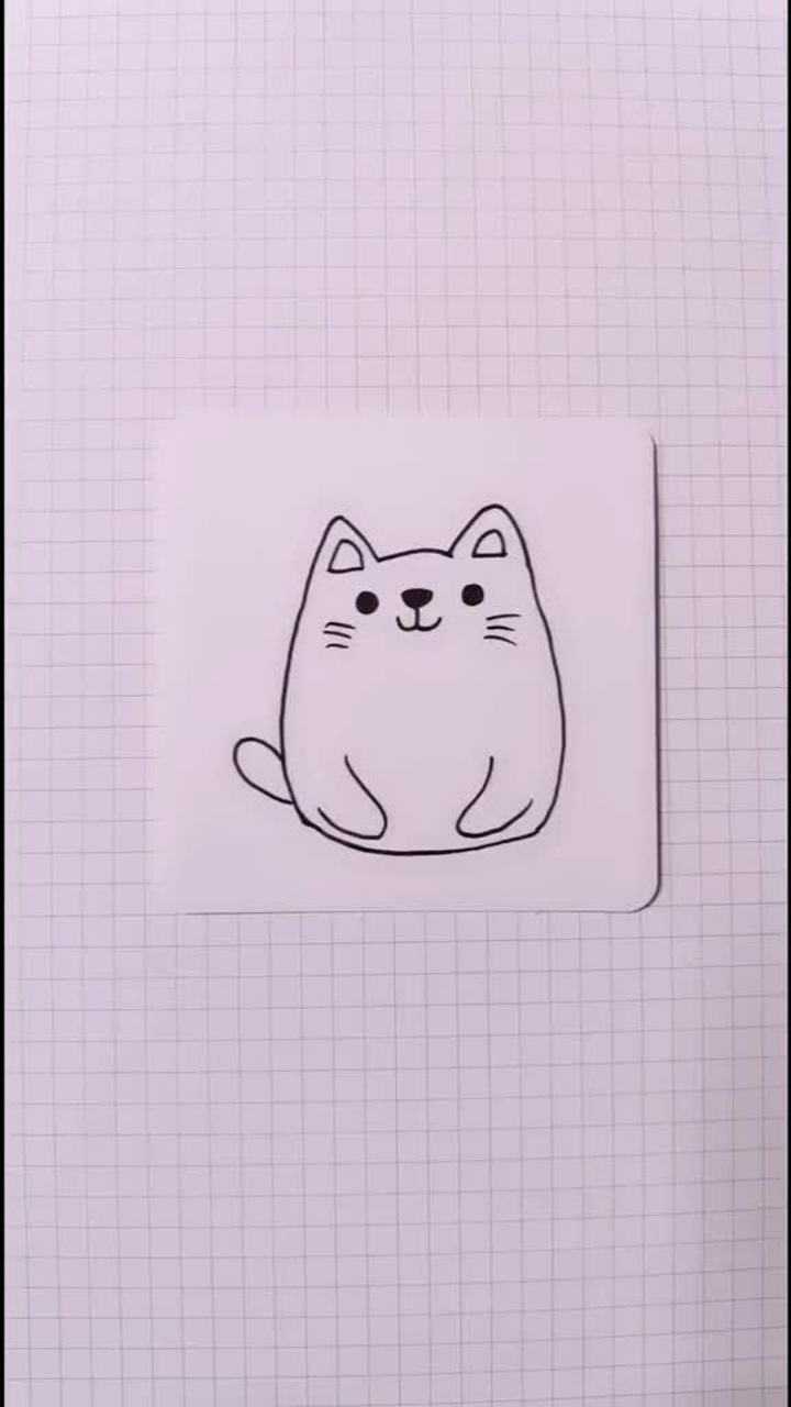 每日一画,小胖猫简笔画