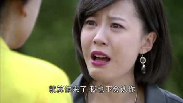 孙靖晨亲眼证实沈晓君就是陶诗韵的女儿,沈晓君坚决不与母亲相认