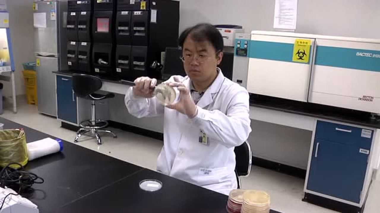 抗菌药物敏感性试验标准操作视频_高清