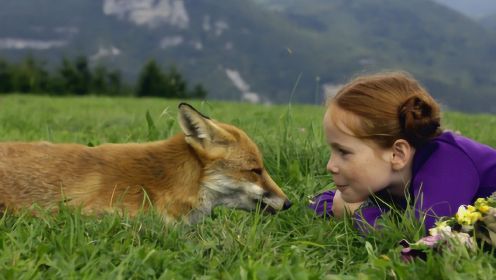 女孩与狐狸做起朋友，本想将它驯养成宠物，没想到狐狸却选择自杀