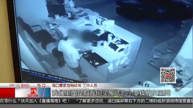 3人小伙深夜把宠物店砸了,盗窃钱财,监控拍下全程