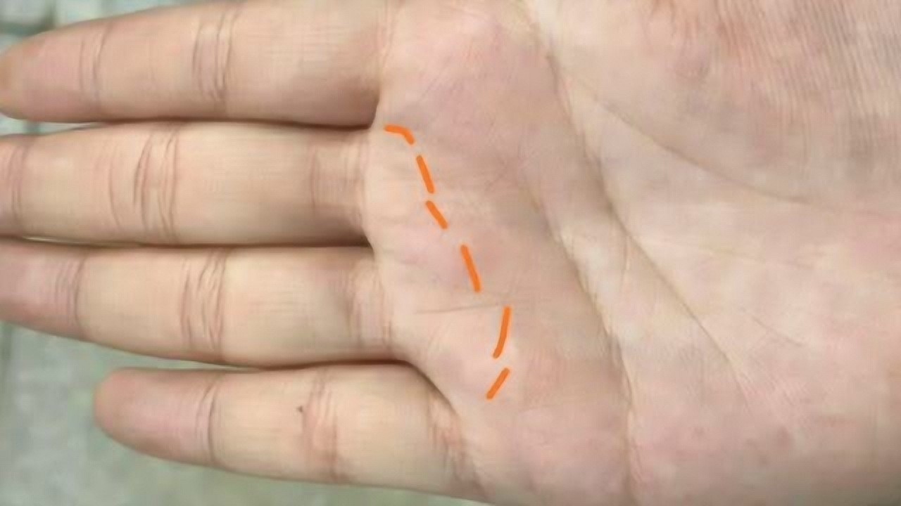 手相x欲纹:这种男人很花心