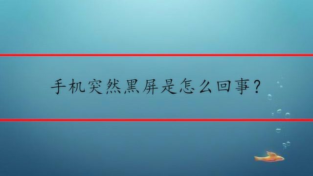 手机突然黑屏是怎么回事?