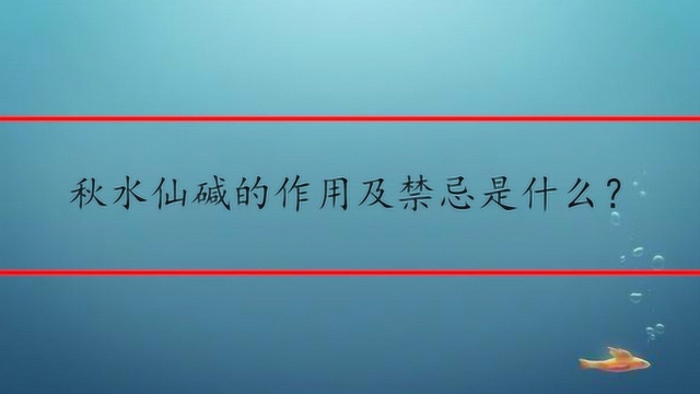 秋水仙碱的作用及禁忌是什么?