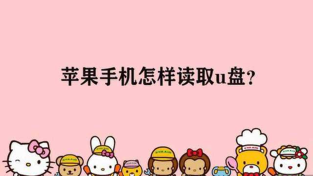 苹果手机怎样读取u盘?