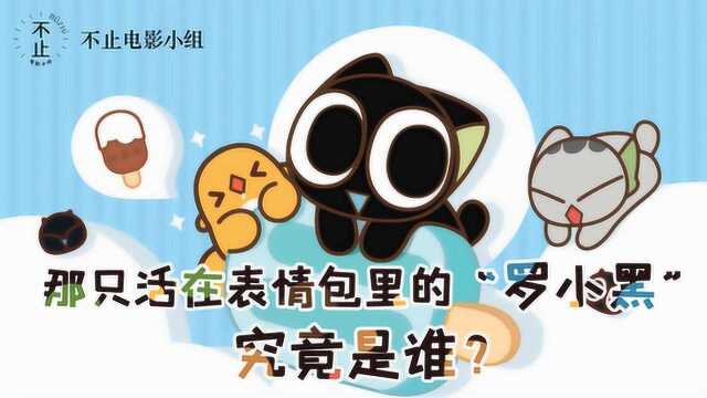 关于罗小黑的二三事你知道吗?原来TA不只是表情包