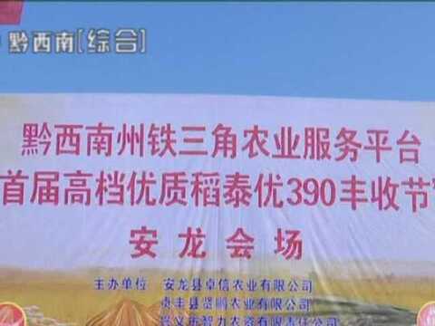 安龙:打造优质稻品牌 推行“稻+N”综合种养模式