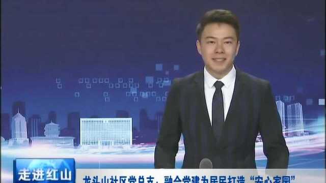 龙头山社区党总支:融合党建为居民打造“安心家园”