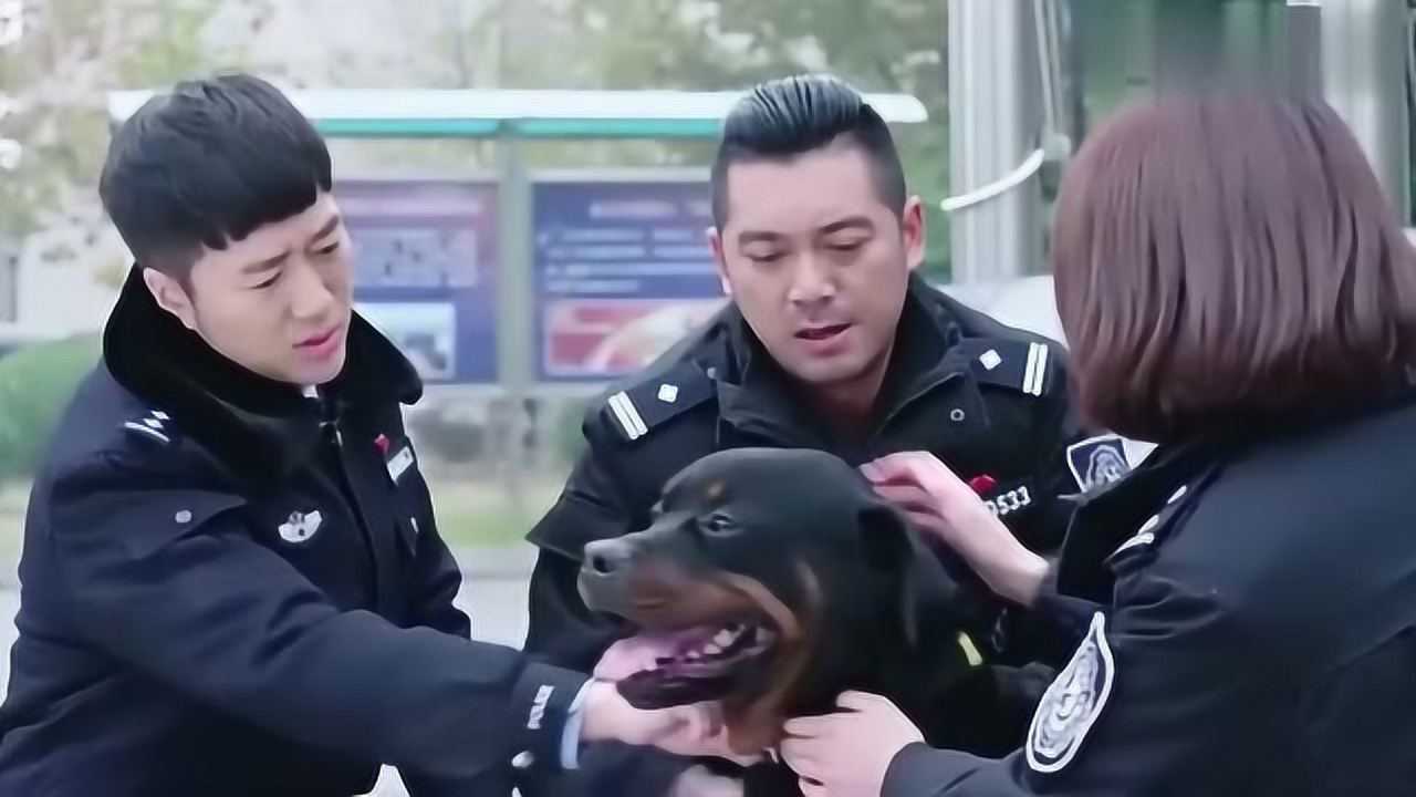 警花与警犬妞妞装上义肢后,立马跑到这里,怎么都不肯走