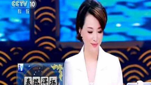 春风十里扬州路,卷上珠帘总不如