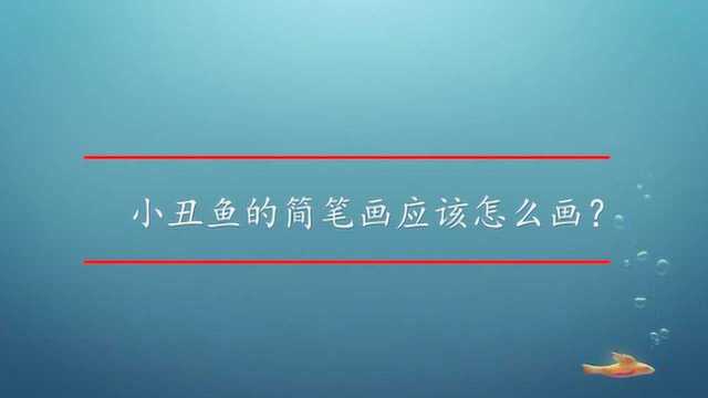 小丑鱼的简笔画应该怎么画?