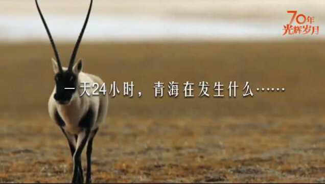 青海24小时高清版