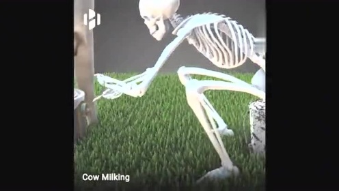 3D动画：运动时人体骨骼是如何活动的