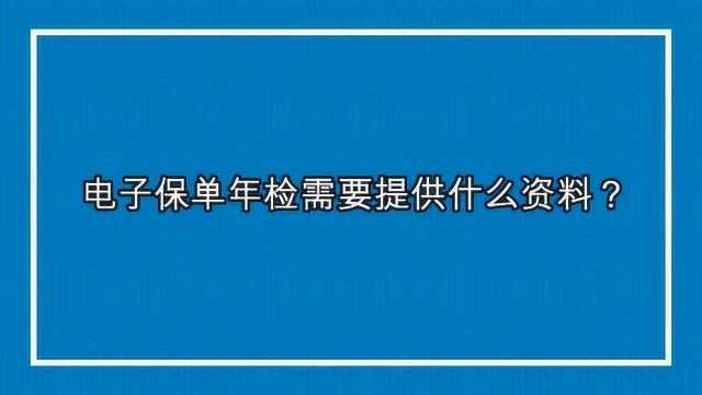 电子保单年检需要提供什么资料?