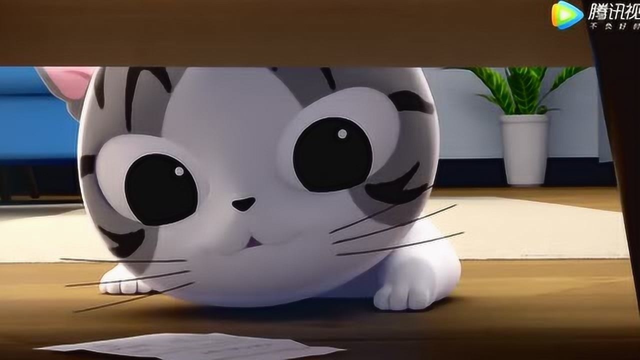 甜甜私房猫小奇你不喜欢梳头发吗