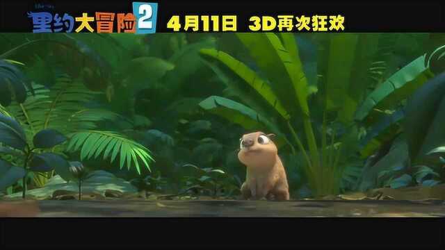 里约大冒险2 中国预告片3 (中文字幕)