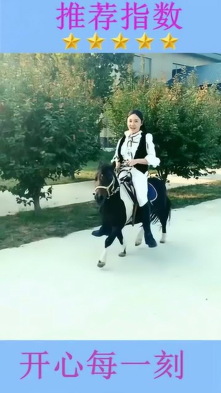美女骑小矮马