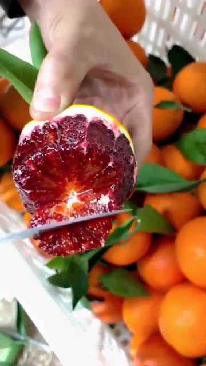 这是个假血橙吧