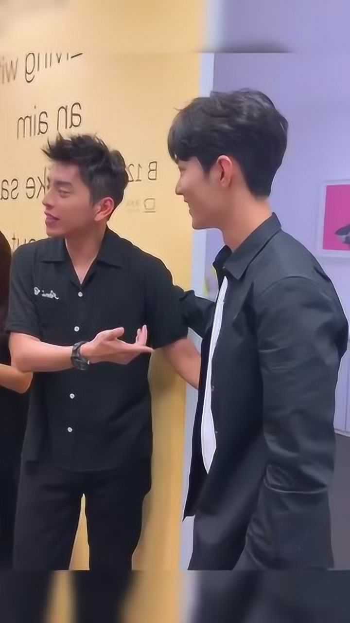 我可能是有毒,我觉得王大陆和肖战有cp感