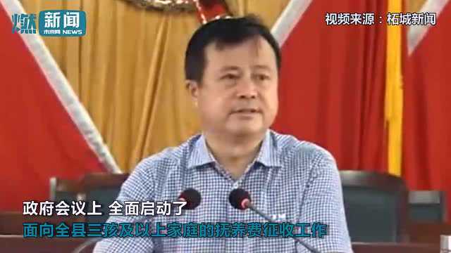 河南柘城征收三孩家庭社会抚养费,标准为夫妻上一年纯收入三倍