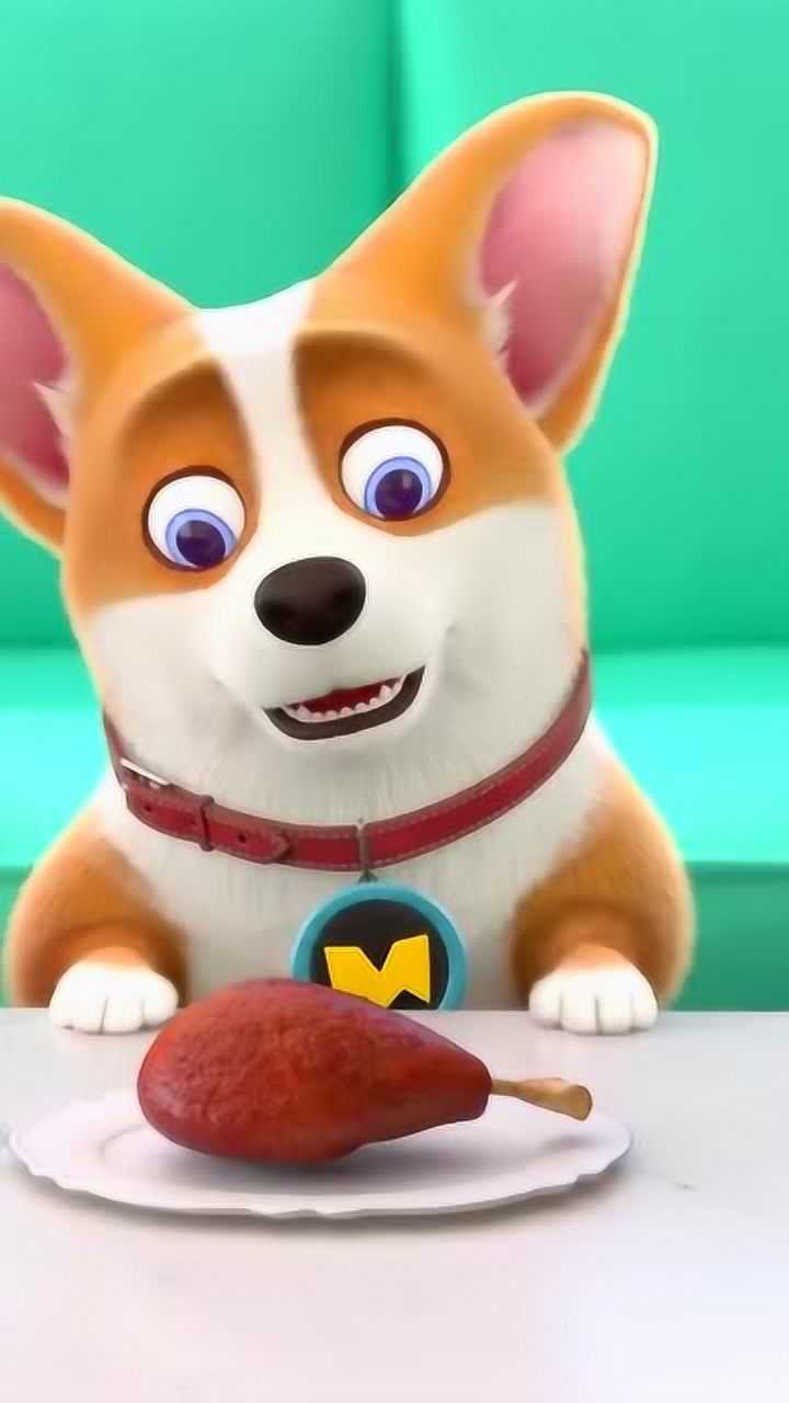 飞狗moco:雅米准备的鸡腿不属于你