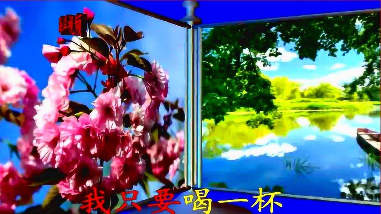 鄧麗君經典歌路邊的野花不要採美酒加咖啡