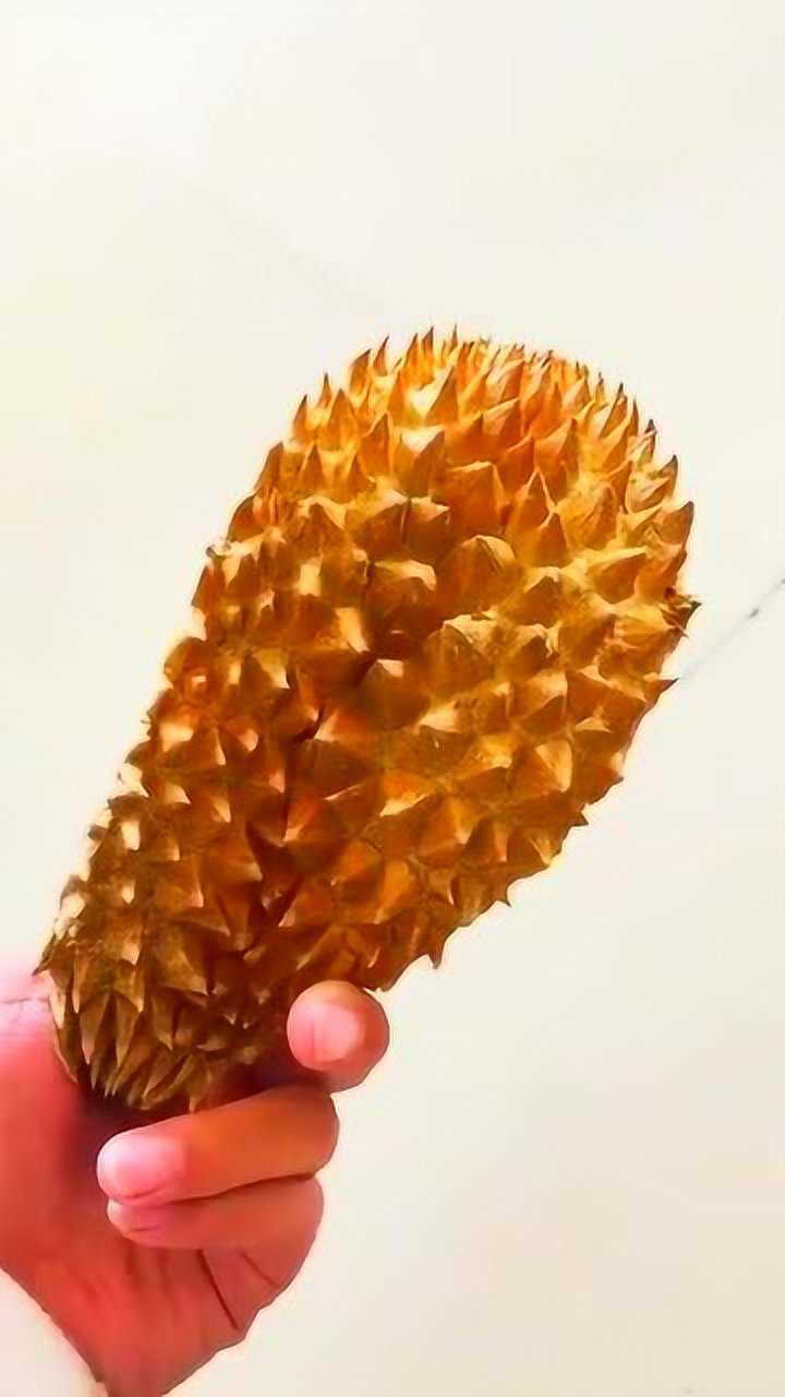 要成精的汪星人闻了一下榴莲皮后就这样了