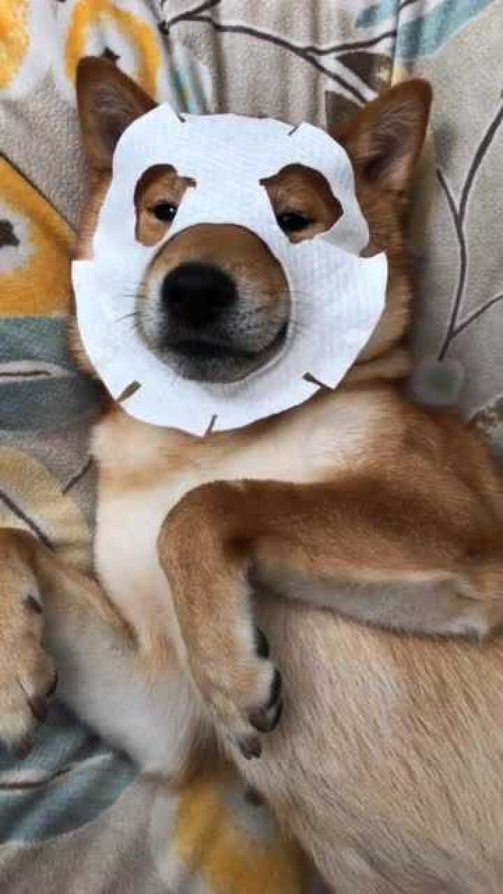 周末嘛就适合在家躺着然后敷一个面膜美美美做一只精致的单身狗