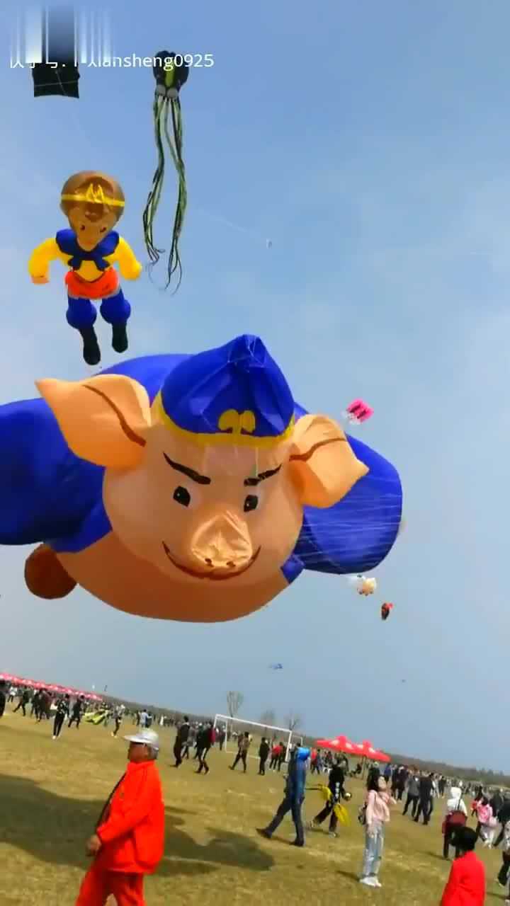 风筝, 猪八戒