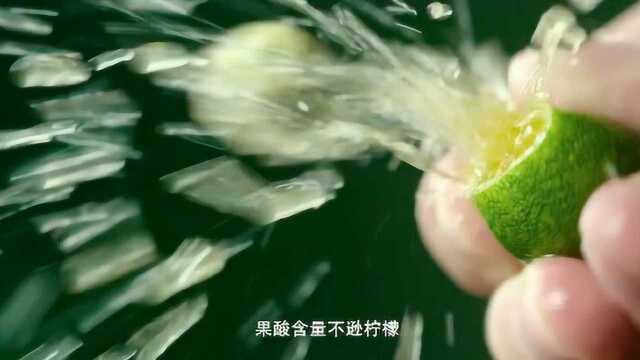 舌尖上的中国:海南特色蘸料小青橘,酸?酸?!酸