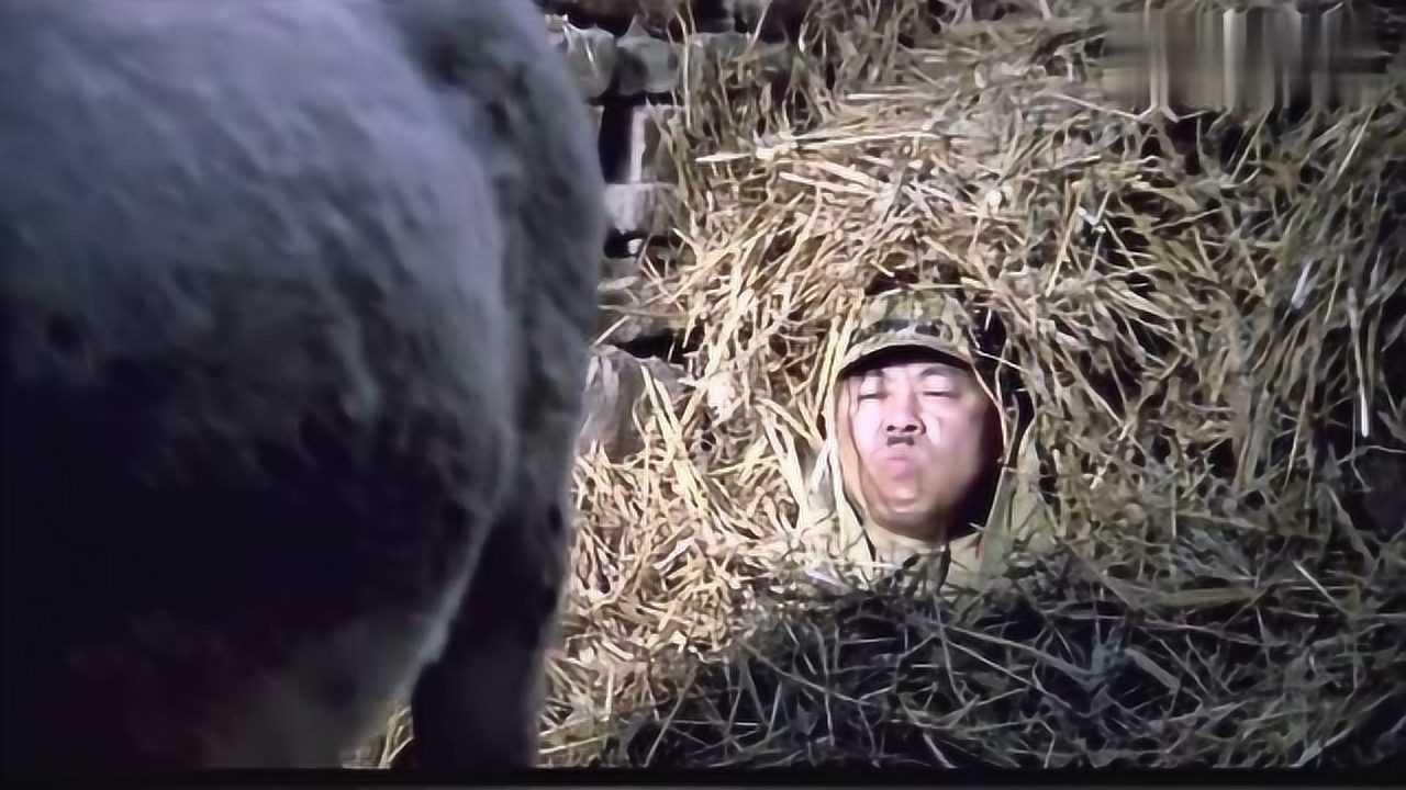 举起手来:潘长江:你放屁是故意的吧!驴:对,就是故意的!