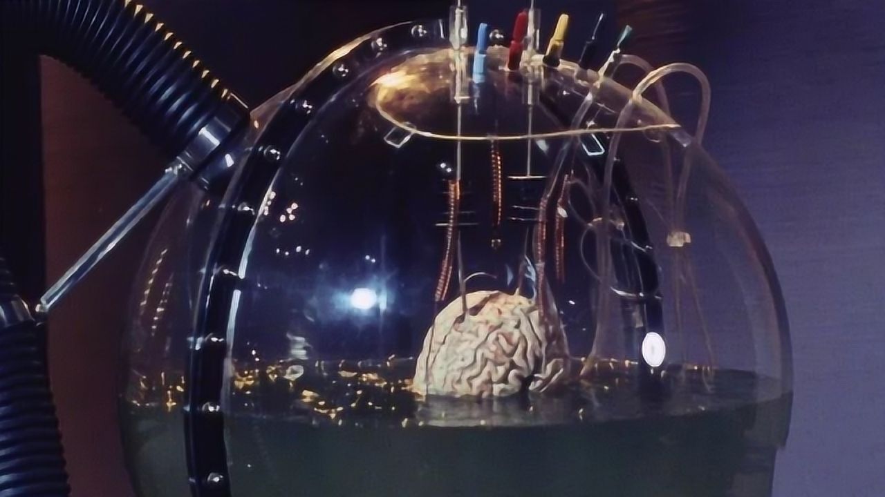 著名的假设"缸中之脑",我们的世界是真实的还是虚拟的?