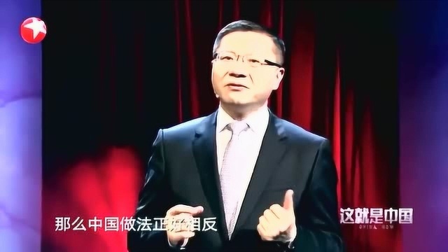 张维为:我们没有采用西方模式,而用实践法,成功避免了金融危机