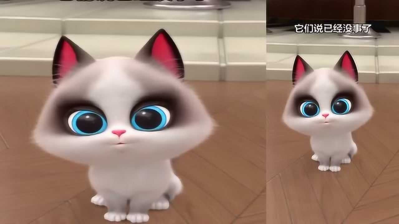 飞狗moco:小公举要和moco说什么呢?好害羞啊!_腾讯视频