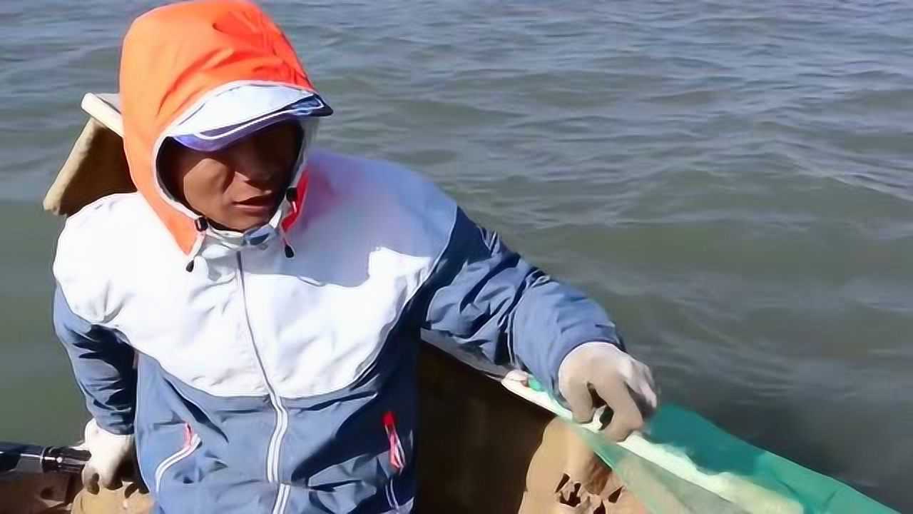 赶海阿峰捕大虾返航出现意外抓到的大虾全都白抓了今天亏大了