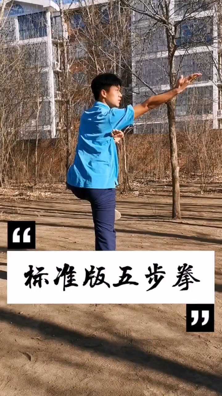 标准版五步拳