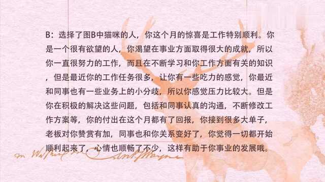 塔罗占卜:你感觉这四只猫咪哪只是在跟踪你?测测这个月有啥惊喜