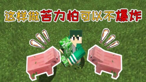大小姐我的世界模组我的世界mod当我在mc里抱起苦力怕旁边的猪都看呆