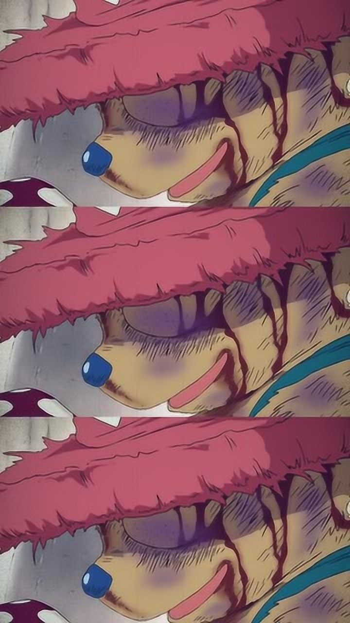 海贼王:最美的漫天樱花乔巴