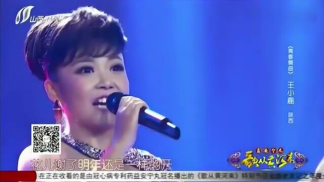 歌从黄河:王小鹿热情开唱《青春舞曲》,燃烧起青春的烈焰!