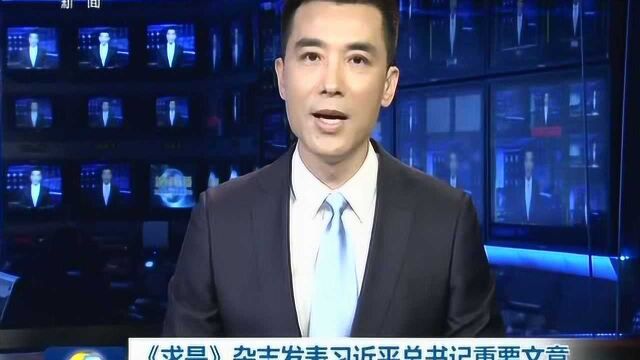 《求是》杂志发表习近平总书记重要文章