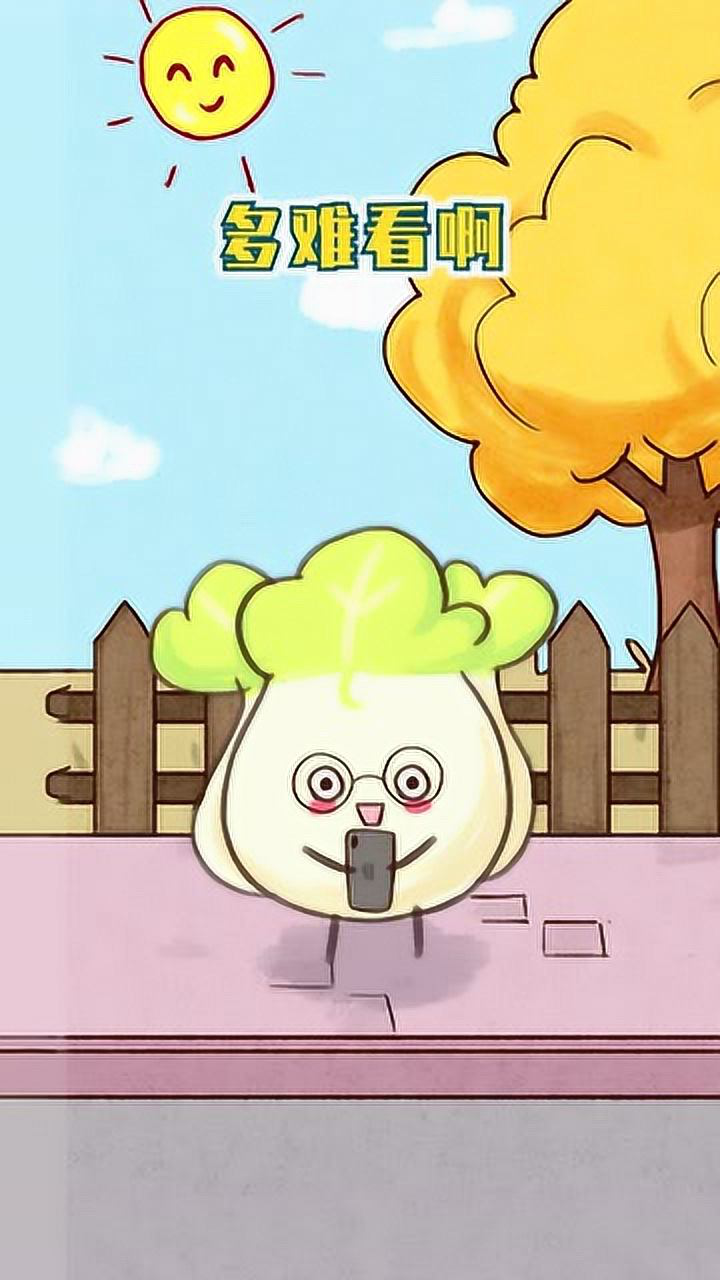 戴上眼镜的娃娃菜你们觉得萌吗