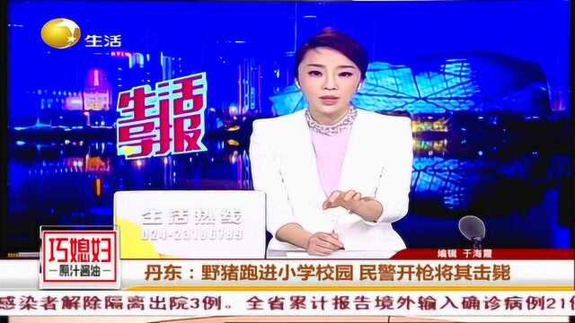 丹东:野猪跑进小学校园,民警开枪将其击毙