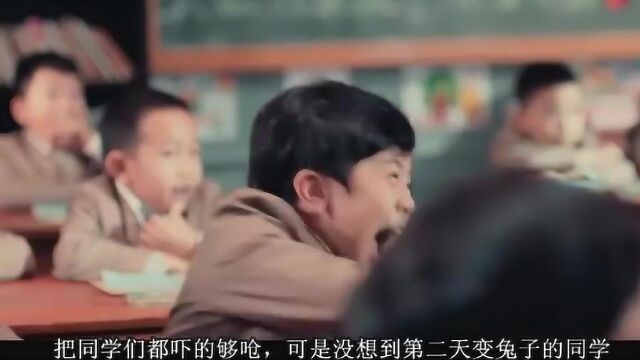 学习好的学生会变成兔子,全班成了兔子班,剧情精彩了